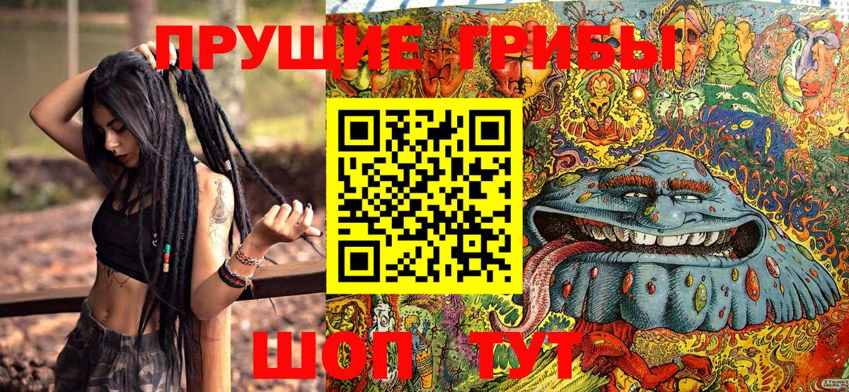 Псилоцибиновые грибы Cubensis Десногорск