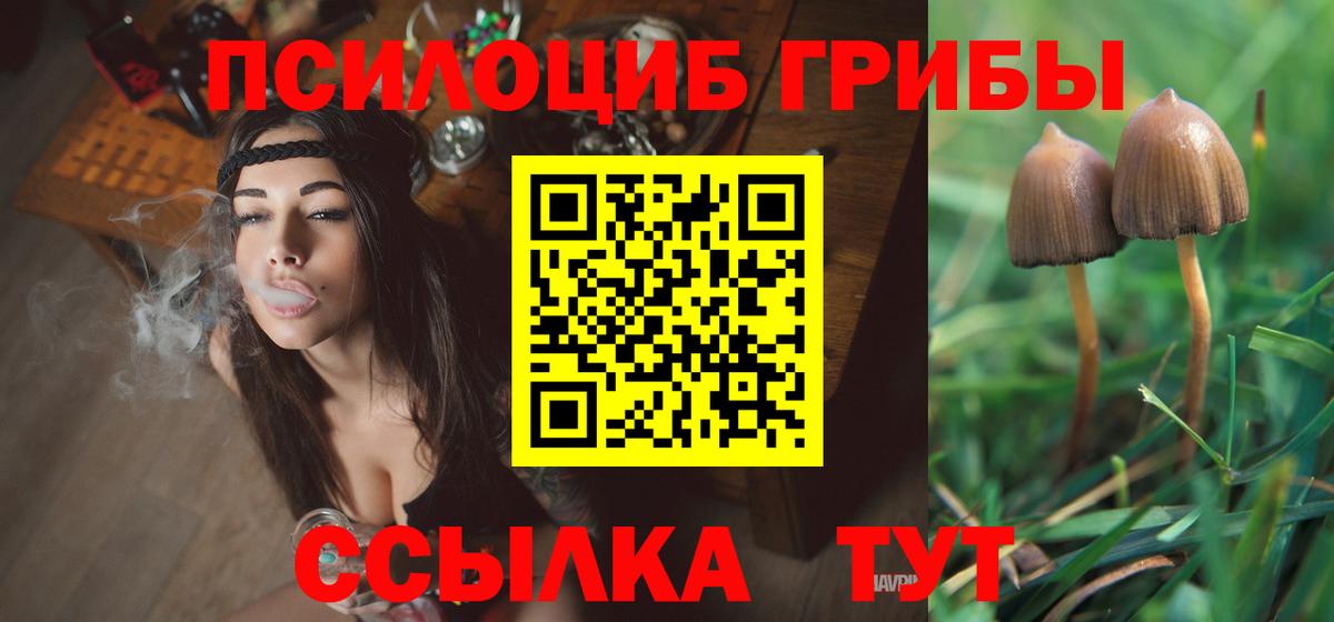 Псилоцибиновые грибы GOLDEN TEACHER  Вход с VPN  Псилоцибиновые грибы мицелий  Десногорск 